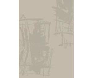 Citoyenneté Et Démocratie Directe - Compétence, Participation Et Décision Des Citoyens Et Citoyennes Suisses