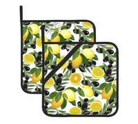 Citron et Olive, Ensemble de 2 maniques, manique résistante à la Chaleur, Cuisine antidérapante, Coussin Chauffant de Cuisson, 20.5x20.5 cm