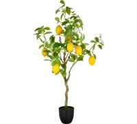 Citronnier artificiel 115 cm Vert dans pot plastique 16x15 cm Plante décorative Salon Bureau