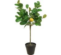 Citronnier artificiel avec fruits pour une ambiance méditerranéenne à l'intérieur