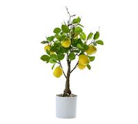 Citronnier Artificiel en Pot - 40 Cm - Fruit de Verdure - Bonsaï - Citronnier pour Décoration de Citron - Plantes de Citronnier Artificielles pour Cuisine, Maison, Bureau, Fête, Décoration(Citron)