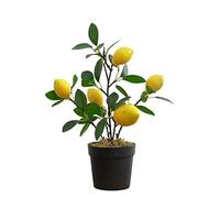 Citronnier artificiel en pot, plantes artificielles en pot, bonsaï de fruits artificiels, faux fruits dans un pot pour la maison, la table, le bureau, la salle à manger, la décoration des plantes