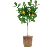 Citronnier méditerranéen artificiel avec fruits dans un pot en terre cuite 58cm