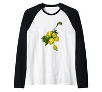 Citrons 2021 Plus 3 Mumzy Maria Uberstein Manche Raglan