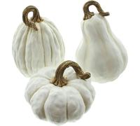Citrouille 'White' Set de 3 citrouilles Décoration d'automne Décoration de jardin Automne Hiver