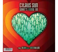 Citrus Sun - What's Going On / What Color Is Love [Vinyl LP]