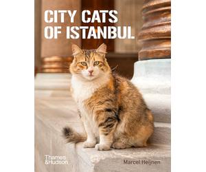 City Cats of Istanbul /anglais