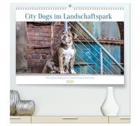 City Dogs im Landschaftspark (hochwertiger Premium Wandkalender 2026 DIN A2 quer), Kunstdruck in Hochglanz: Ausdrucksvolle Fotos von Old English Bulldog im Industriestyle