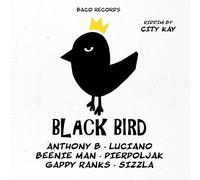 City Kay Pres. Various Black Bird Riddim (Lim.Ed.) (Vinyl)