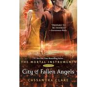City of Fallen Angels
