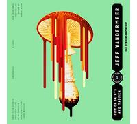 City of Saints and Madmen (Ambergris)