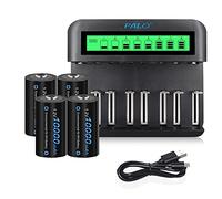 CITYORK Chargeur Universel LCD, pour Batteries 8 AA/AAA ou 4 C/D, Canal de Charge indépendant Via Chargeur Rapide - avec 4 Piles D 8000mAh NI-MH