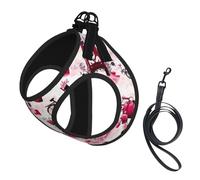 Cityscape Paris Tour Eiffel Gilet porte-jarretelles compact pour petit animal de compagnie pour une promenade confortable