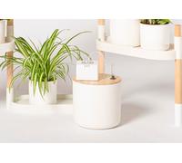 Citysens - Arrosage Goutte à Goutte Automatique avec réservoir Blanc