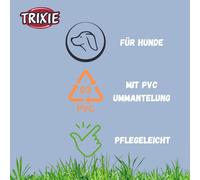 Citystyle 1971716 Collier Pour Chien Taille L : Tour De Cou 45\U201352 Cm/25 Mm Gris Clair\U2013 Collier En Pvc De Haute Qualité Pour Chiens De Petite Et Moyenne Taille, Réglable,Imperméable Et Fac