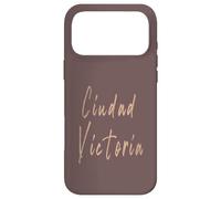 Ciudad Victoria Mexico Design Vintage élégant Coque pour iPhone 17 Pro Max