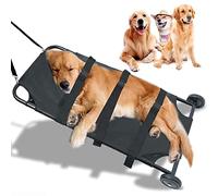 Civière pour chien, capacité maximale de 150 lb, chariot de transport pour animaux de compagnie, Gurney pliable avec roues silencieuses