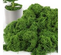 CIYIN 100g Mousse Artificielle pour Décorations Florales, DIY et Travaux Manuels en Vert Foncé