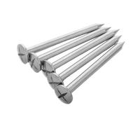 CIYODO 5 pièces Clous de Marquage Arpentage Acier Inoxydable Clous de Mesure Précis pour Points de Nivellement et Observation Repères de Terrain Multi-Usage