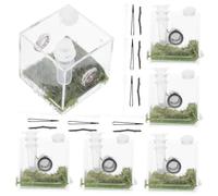CIYODO 6 Ensembles Boîte D'élevage D'araignées Sauteuses Couvoir Boîtiers Créature Cage Accessoires Araignée Sauteuse Terrarium Araignée Sauteuse Enclos à Phasmes Réservoir Zoo Acrylique