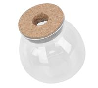 CIYODO Bouteille Terrarium Micro Paysage Transparent avec Bouchon Petite Décoration Écologique de Table pour Plantes Compacte et Facile à Entretenir pour Aménager Petits