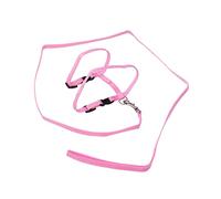 CIYODO Corde De Traction Rose Nom Étiqueter Chat Harnais Accessoires pour Animaux De Compagnie