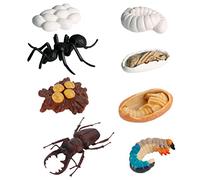 CIYODO Lot de 8 Modèles de Croissance D’Insectes Réalistes en PVC Souple, Figurines D’évolution de Fourmis Ouvrières Colorées, Jouets Cognitifs Éducatifs pour Activités Scolaires
