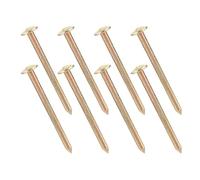 CIYODO Lot de 8 Piquets D'arpentage Métalliques Galvanisés 10 Cm, Clous de Jardin en Acier Inoxydable pour Levés Topographiques, Bornes de Levé et Repères de Mesure Extérieurs, Outils