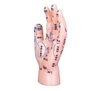 CIYODO Modèle de Main D'acupuncture en Pvc Solide, Points D’acupuncture Précis et Lettrage Clair, Outil Pédagogique pour Réflexologie Palmaire et Massage, pour Enseignement Médecine