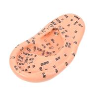 CIYODO Modèle D'oreille Humaine en Pvc Solide, Outil Pédagogique D'acupuncture Auriculaire Points Précis en Chinois, Compact et Portable pour Apprentissage et Soins en Médecine