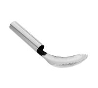 CIYODO Pratique Ustensile Cuisine Citrouille Acier Inoxydable Cuillère Corer Compacte pour Fruits Outil Manuel pour Enlever Noyau et Séparer Chair Facile à Nettoyer et Gain