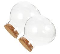 CIYODO Terrarium Écologique en Verre Transparent 200 ML Bouchon en Liège pour Micro-Paysage et Création en Mousse