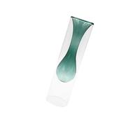 CIYODO Vase Double Épaisseur Transparent pour Plantes Fleurs Décoration de Table Borosilicate Couleur Verte