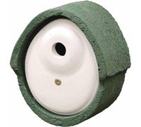 Nid D'Oiseau En Béton Bois Ovale 32 Mm Vert