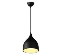 CJSLXGBL Suspension Créative Nordique, Petite Lampe Suspendue avec Abat-Jour en Métal, Luminaires Suspendus, Suspensions Industrielles, pour Couloir, Cuisine, Îlot, Salle À Manger, Salon