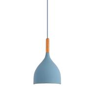 CJSLXGBL Suspension Créative Nordique, Petite Lampe Suspendue avec Abat-Jour en Métal, Luminaires Suspendus, Suspensions Industrielles, pour Couloir, Cuisine, Îlot, Salle À Manger, Salon