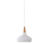 CJSLXGBL Suspension Créative Nordique, Petite Lampe Suspendue avec Abat-Jour en Métal, Luminaires Suspendus, Suspensions Industrielles, pour Couloir, Cuisine, Îlot, Salle À Manger, Salon