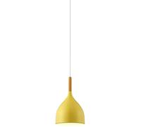 CJSLXGBL Suspension Créative Nordique, Petite Lampe Suspendue avec Abat-Jour en Métal, Luminaires Suspendus, Suspensions Industrielles, pour Couloir, Cuisine, Îlot, Salle À Manger, Salon