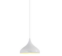 CJSLXGBL Suspension Créative Nordique, Petite Lampe Suspendue avec Abat-Jour en Métal, Luminaires Suspendus, Suspensions Industrielles, pour Couloir, Cuisine, Îlot, Salle À Manger, Salon