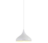 CJSLXGBL Suspension Créative Nordique, Petite Lampe Suspendue avec Abat-Jour en Métal, Luminaires Suspendus, Suspensions Industrielles, pour Couloir, Cuisine, Îlot, Salle À Manger, Salon