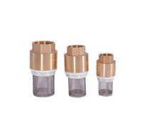 CJTWNBIO Clapet Anti-Retour en Laiton à Filetage Femelle BSP 1/2", 3/4", 1", 1-1/4", 1-1/2", 2", 3", avec Filtre à Mailles, clapet de Fond, clapet de Pied(1/2")