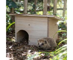 CKB LTD Construisez votre propre maison en bois pour hérissons ou cochons d'Inde - Abri extérieur - Maison d'habitat à monter soi-même - Peut également être utilisée pour une maison d'hibernation pour