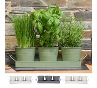 CKB LTD Pot de fleurs en métal Lot de 3 avec plateau d'égouttement Traditionnel Pour rebord de fenêtre et cuisine Cultivez vos propres herbes vert sauge