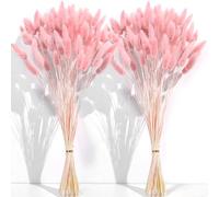 CKBT Lot de 120 boules de pampa séchées roses de 45,6 cm, fleurs séchées pour la décoration, herbe de pampa haute en vrac, fleurs séchées de queues de lapin rose pour décoration de
