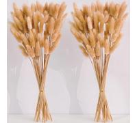 CKBT Lot de 120 pompons floraux de 43,2 cm, fleurs séchées pour décoration, grande herbe de pampa en vrac, fleurs séchées pour décoration de mariage