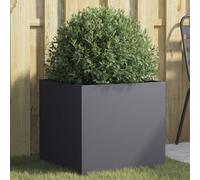 CKioict Jardinière anthracite - Pot pour plantes d'extérieur - Pour l'intérieur et la terrasse - 49 x 47 x 46 cm - Acier