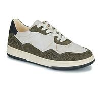 Clae Baskets basses ELFORD in Blanc 44
