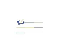 Clairefontaine Papier Ramette 250 feuilles A3 120 g/m² Certifié FSC Vert