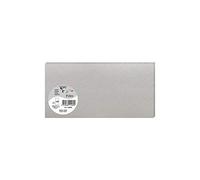 Pollen Carte Simple 210g 106x213 argent pqt 25