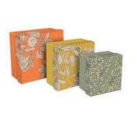 Clairefontaine - 116359C - Un Lot de 3 Boites de Rangement Fleurs de Citronnier, Oranger, Olivier - Gigognes - Multifonctions - Carton - 25x25x12, 20x20x11 et 16x16x10 cm - Collection Jardin des Sens